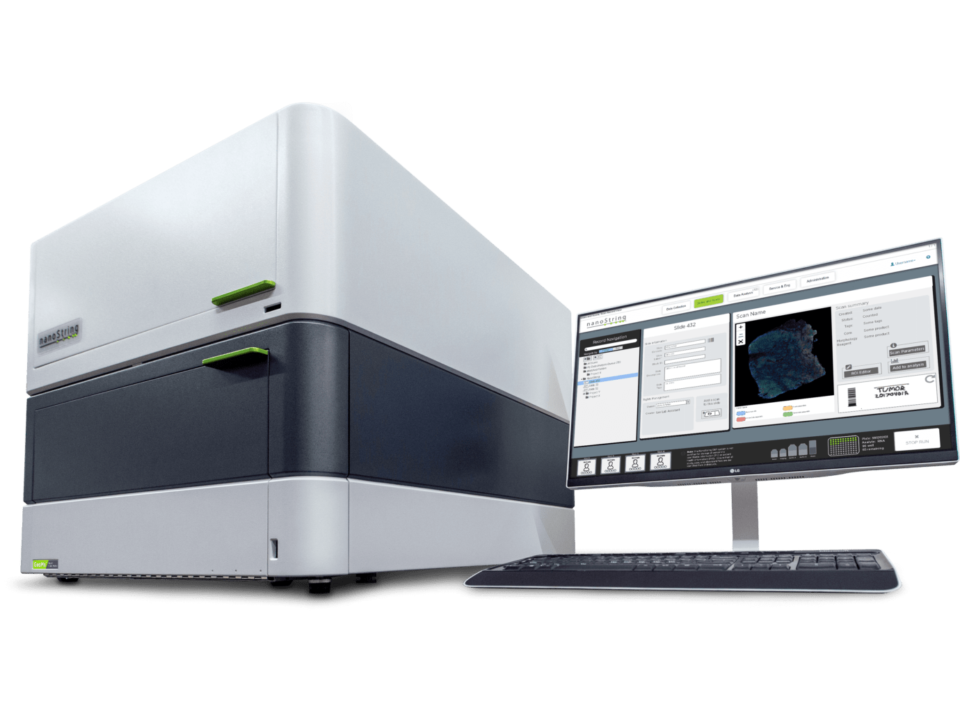 Spatial Profiling How Do I Choose the Right Spatial Biology Technology? | Bruker Spatial ...