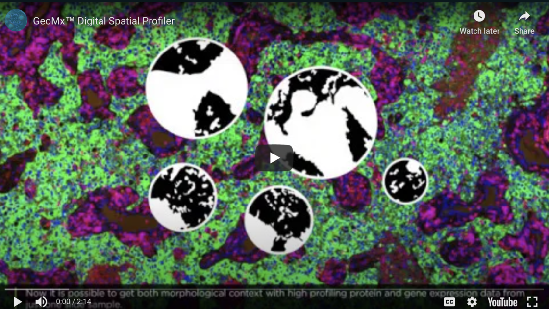 Digital Spatial Profiler