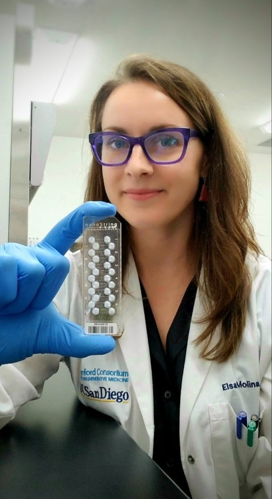 Elsa Molina-Knows about gene expression and data analysis tools
