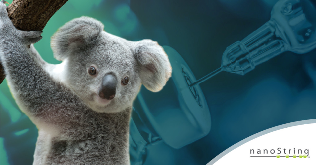 Vaccines are important for both human and animal health