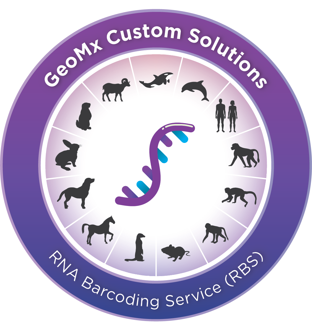 GeoMx® RNA Barcoding Service Grant Program | Bruker Spatial Biology