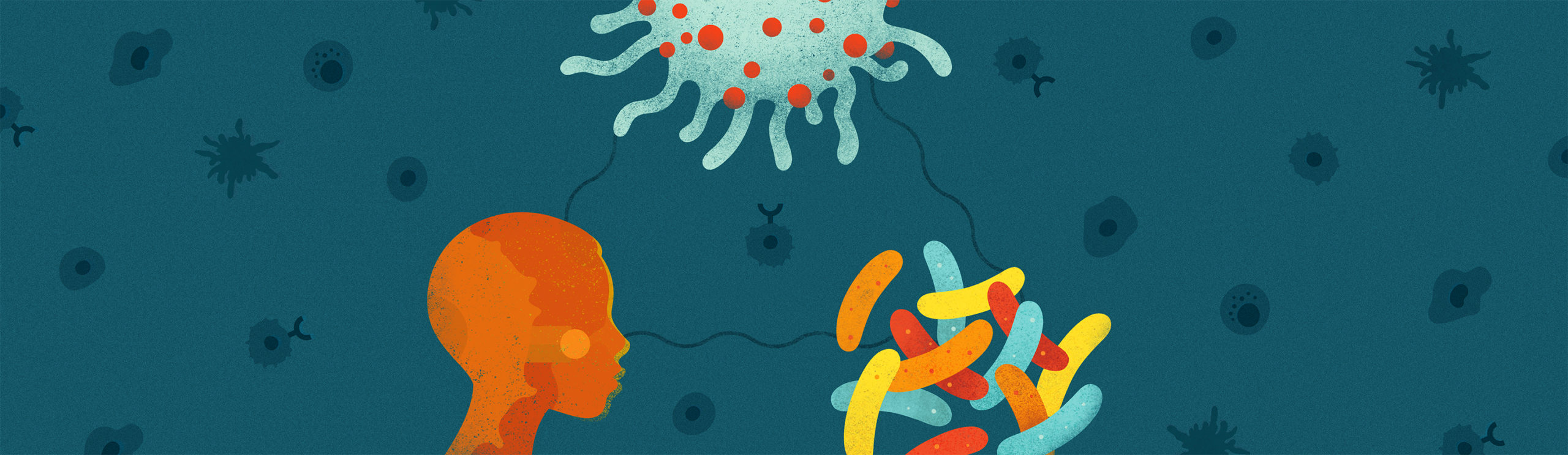 Illustration showing the immuno-oncology relationship