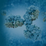 Immunology rendering