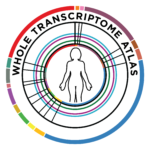 GeoMx Human Whole Transcriptome Atlas
