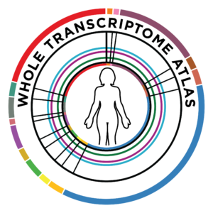 GeoMx Human Whole Transcriptome Atlas