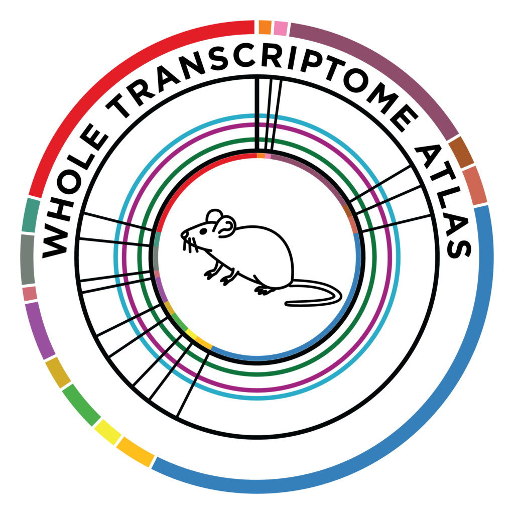 Spatial transcriptomics to drive new Alzheimer's disease drugs discovery