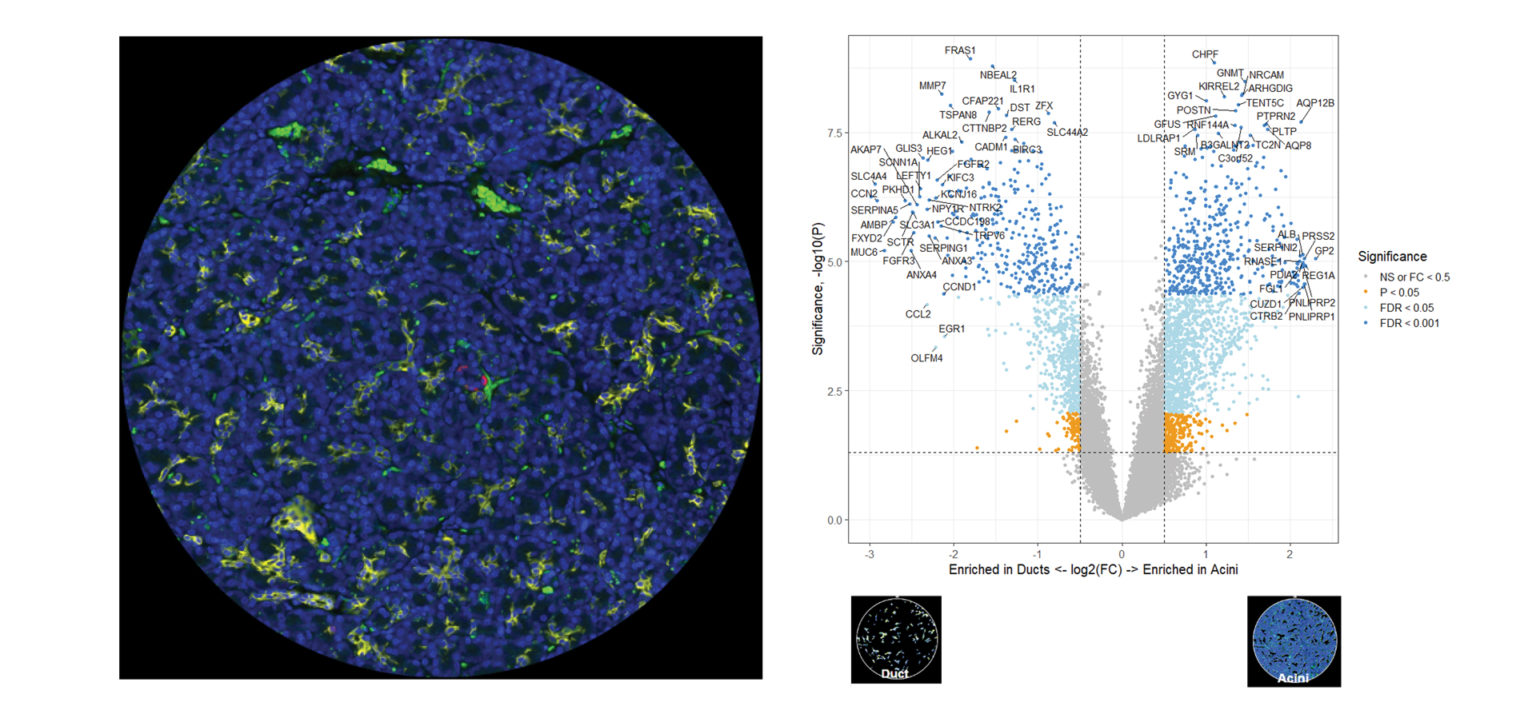 GeoMx DSP Spatial Genomics Overview | NanoString