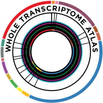 GeoMx Whole Transcriptome Atlas Grant: UPENN/CHOP | Bruker Spatial Biology
