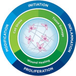Circular diagram representing fibrosis