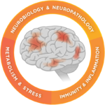 Neuroinflammation product area illustration