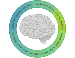 Neuropathology Panel