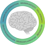 Neuropathology Panel