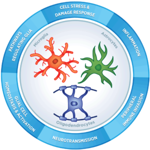 Counter Glial Profiling