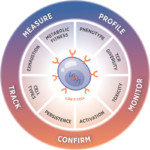 CAR-T-Characterization product area
