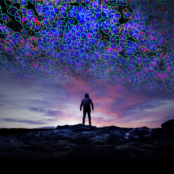 CosMx Spatial Molecular Imager | Bruker Spatial Biology