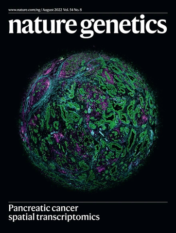 A tissue image generated using NanoString's GeoMx<sup>&reg;</sup> Digital Spatial Profiler (DSP) is on the cover of Nature Genetics. (Graphic: Business Wire)&rdquo; /></p>
<p style=