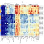 gene expression heatmap