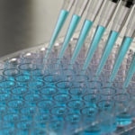 Adding samples to a clear 96 well plate