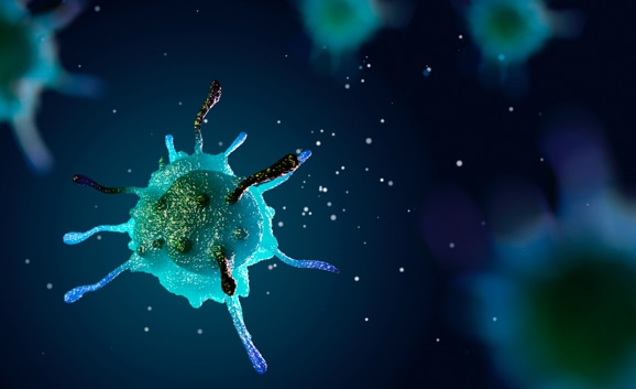 3d model of a microscopic cell