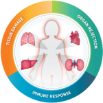 nCounter Human Organ Transplant Panel