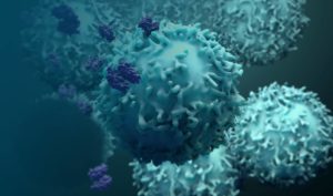 Rendering of oncology proteins